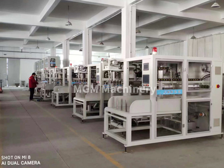 Automatic Granule Bags 10 KGs Filling Line